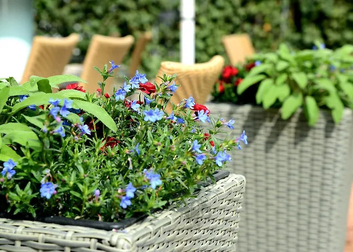 Hotel & Restaurant Graf Hotel Sankt Poelten